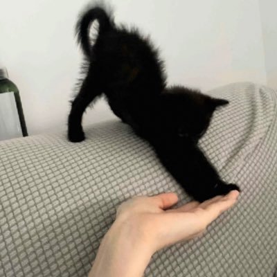hhxxSky's profile picture