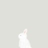 Фото профиля leni𐙚🐇 ༘⋆⁺₊✧