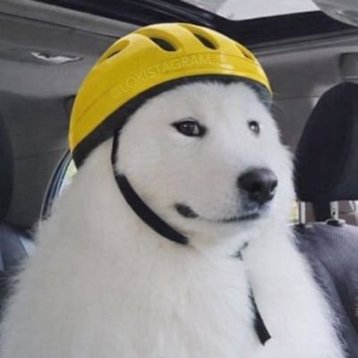 bebsawyer's profile picture