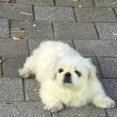 민밍's profile picture