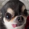 i believe's profile picture