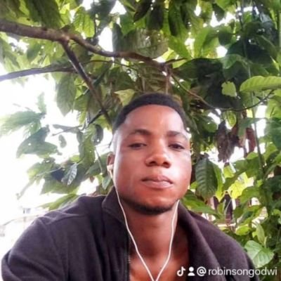 Robinsondollar's profile picture