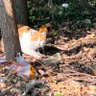 帅哥 profil fotoğrafı