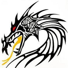 InformadorVeraz's profile picture