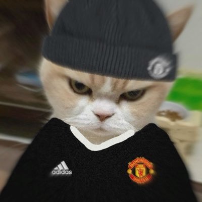 r4p3l_'s profile picture