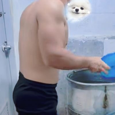 Ambort's profile picture