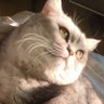 Beyondwo profil fotoğrafı