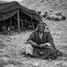 رافع زيد profil fotoğrafı