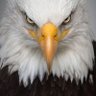 Profilbild von WI_Patriot