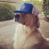 ☘️'s profile picture