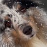 InGodweTrustBeliever's profile picture