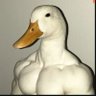 Profilbild von Pato Bombado
