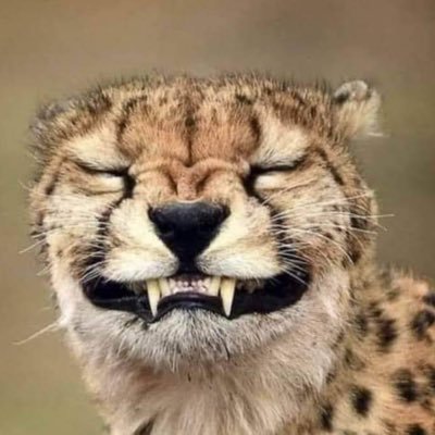 jitenbhardwajj's profile picture