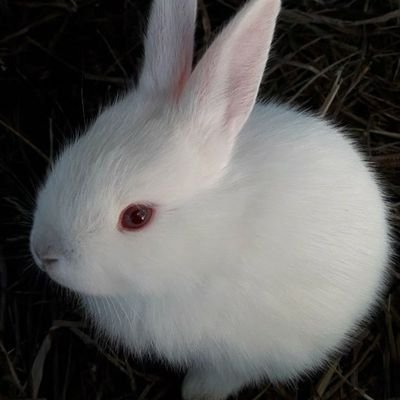 popular's profile picture