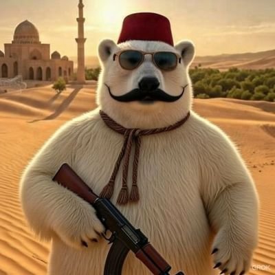 coldekutupaysi's profile picture