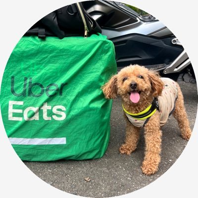 YokohamaUE_ADV's profile picture