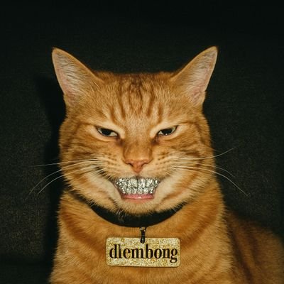 radiman_one's profile picture