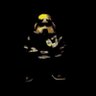 Profilbild von NarfyNerfy