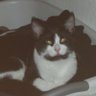 Profilbild von aidan