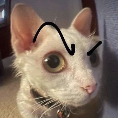 ์ฝฉ's profile picture