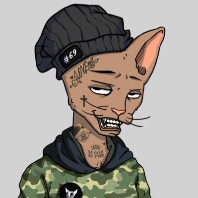 wilson_'s profile picture