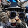MollyB's profile picture