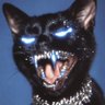 Daniel Ortiz's profile picture
