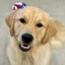 Фото профиля Goldens Rule