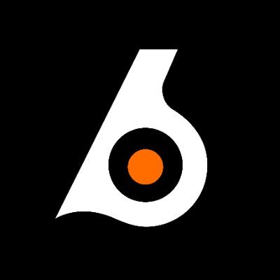 Birdeye's profile picture