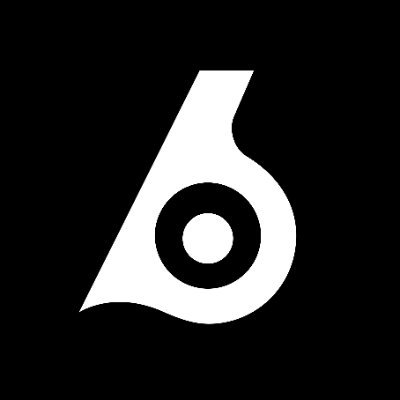 Birdeye Data's profile picture