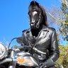 Фото профиля LEATHER~RUBBER~STALLION