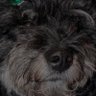 Profilbild von It's me
