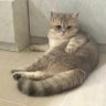 ู's profile picture