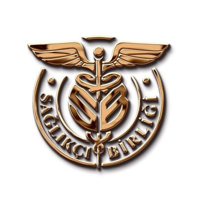 Sağlıkçı Birliği's profile picture