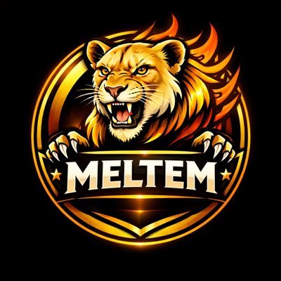 mmbozkaya's profile picture