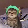Profilbild von Na 🐱