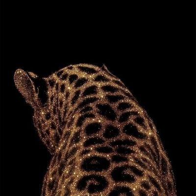 Natalia Cush's profile picture