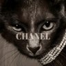 H's profile picture