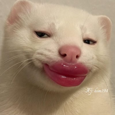 sleeepy_712's profile picture