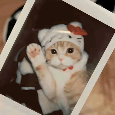 婷婷's profile picture