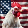 Cozzi Nation's profile picture