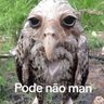 Tritelo's profile picture