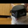 Oliver Lewis profil fotoğrafı