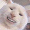 Karol.exe🇵🇱POLSKA GUROM's profile picture