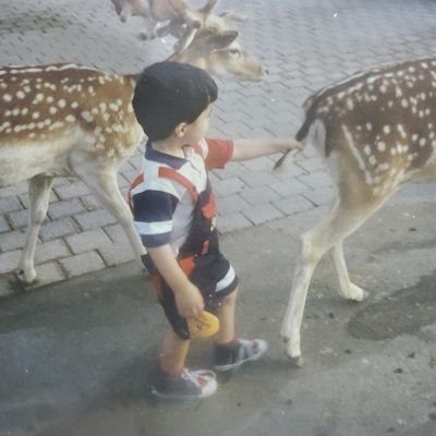 ✹ Alan Barzinji's profile picture