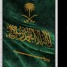 Фото профиля ولد وايل🇸🇦