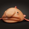 Profilbild von The Very Fish