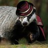 Badger138 -Thumb West Capo III- profil fotoğrafı