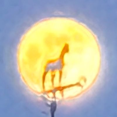taihokustud's profile picture