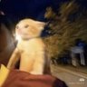 Kiki 的头像